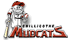 Chillicothe Mudcats